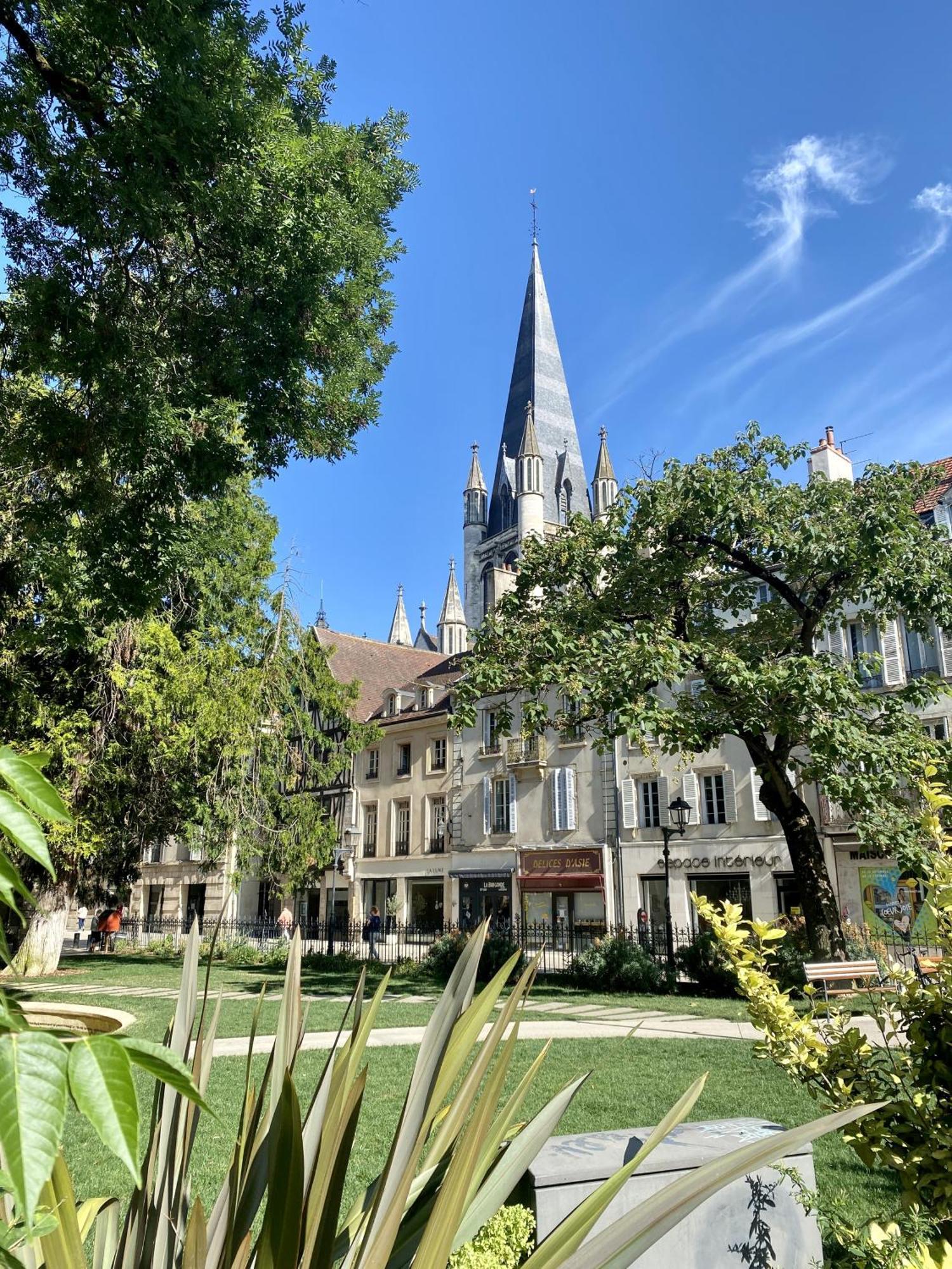 Le Rousseau - Appartement & Suite En Hypercentre Dijon Bagian luar foto